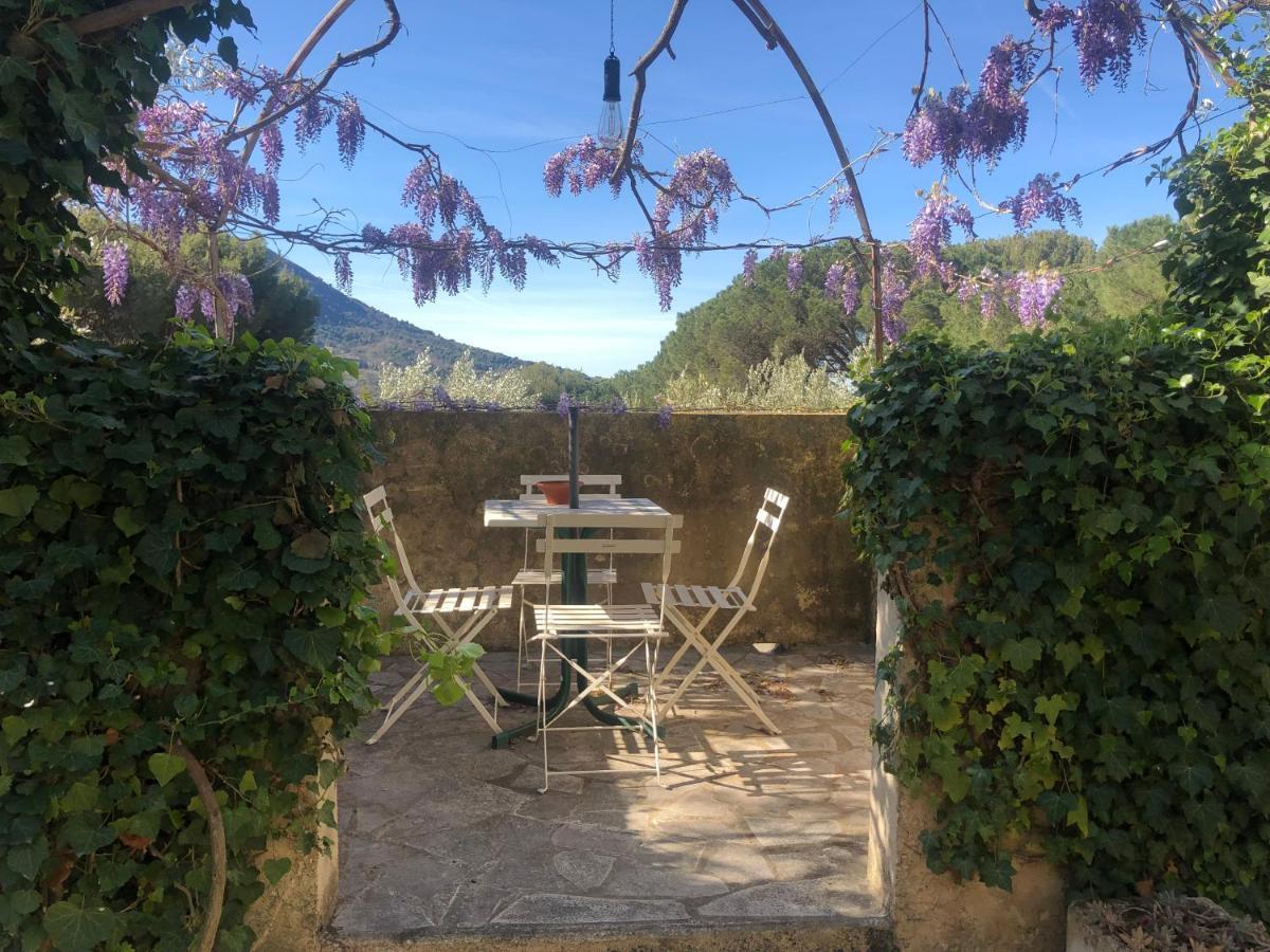 La Picholine En Provence Hotell Nyons Eksteriør bilde